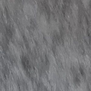 Meet your Posher, Spencer